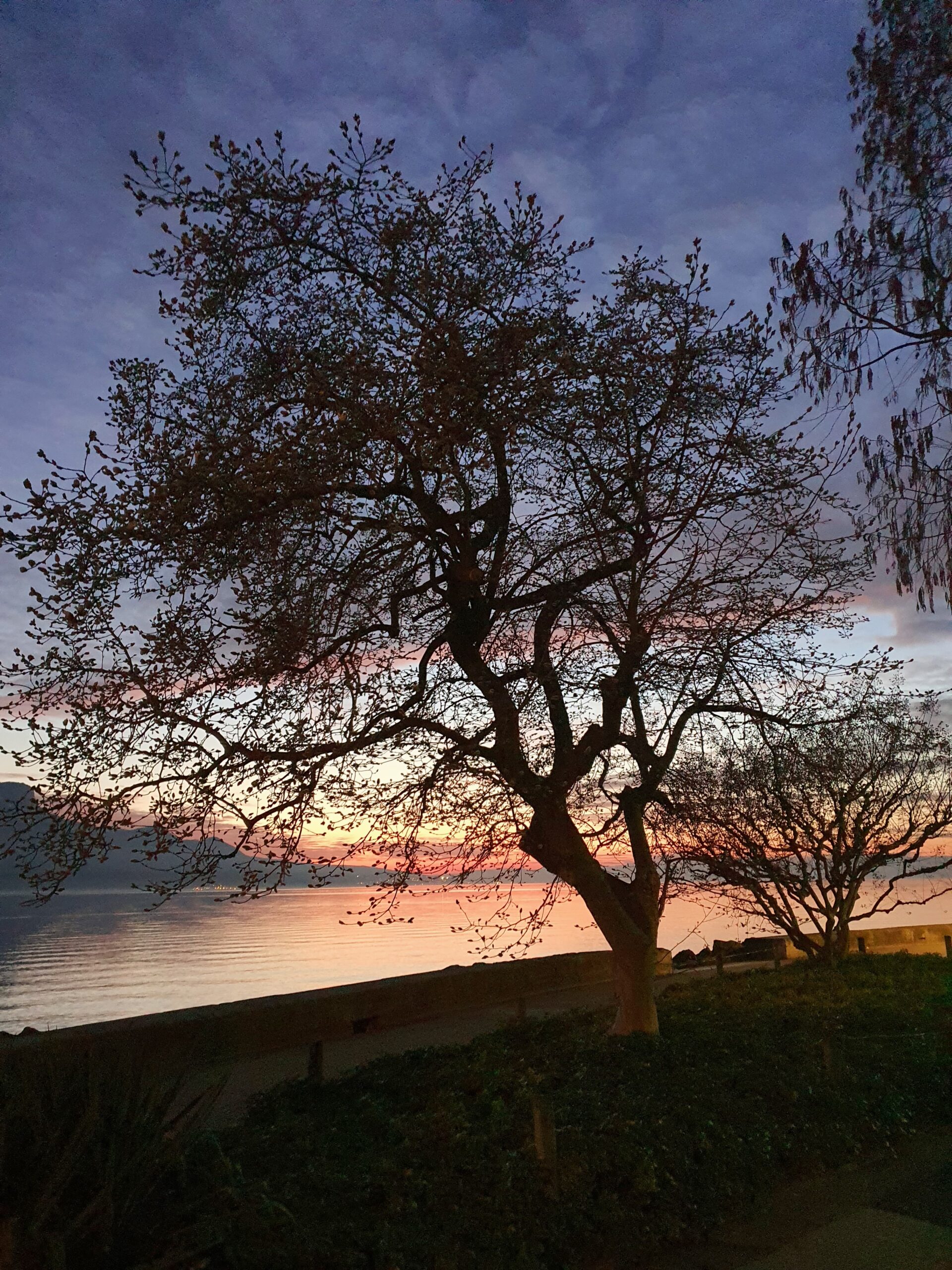 Couché de soleil Maria Belgia