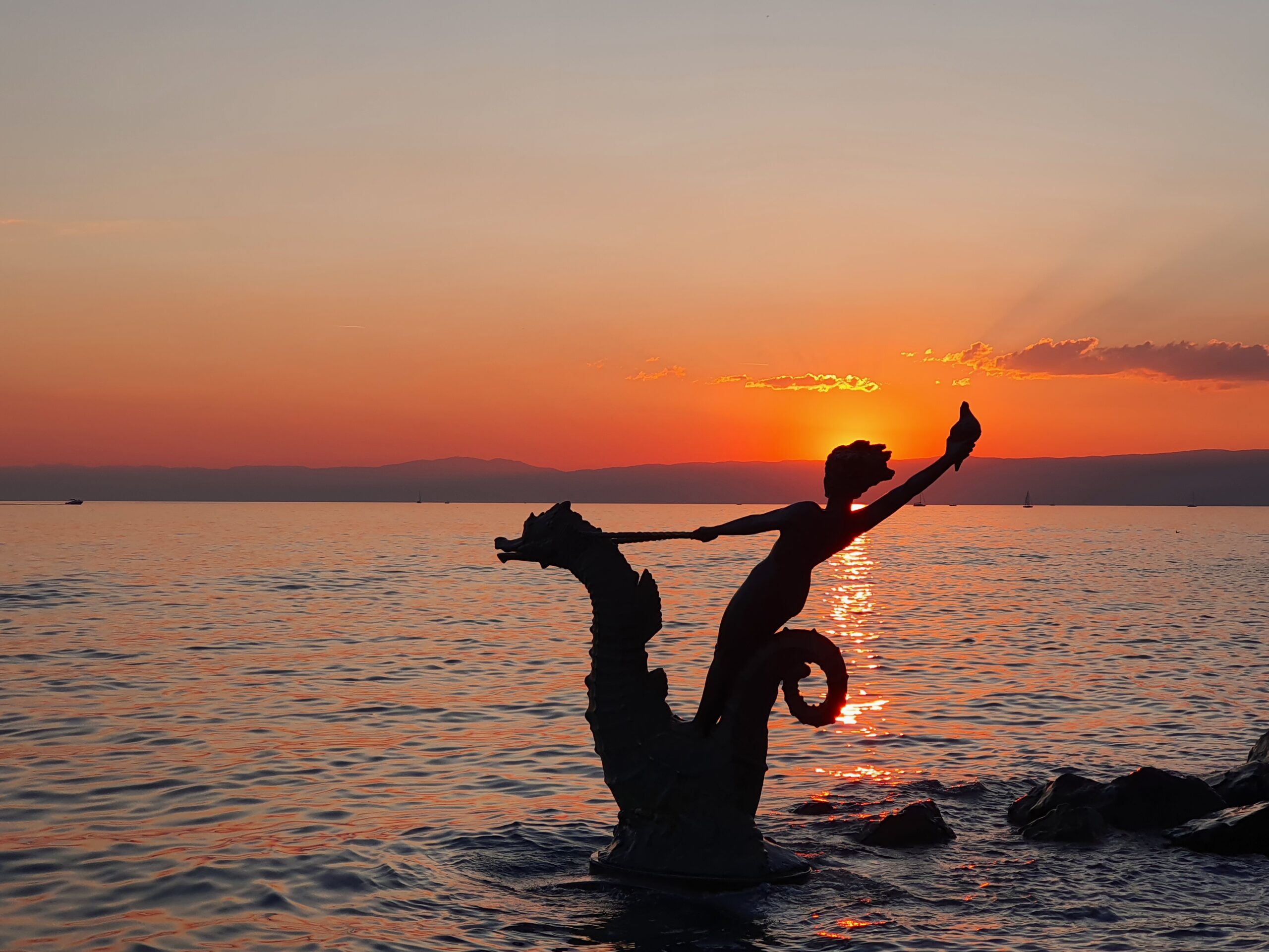 Les hippocampes soleil couchant