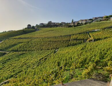 Chexbres depuis les vignes