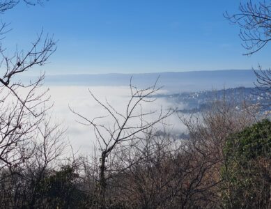 La brume sur Lausanne