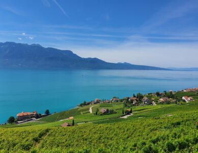 Rivaz depuis Chexbres