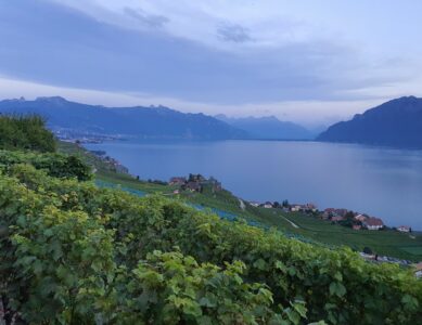 Sur les hauts de Chexbres