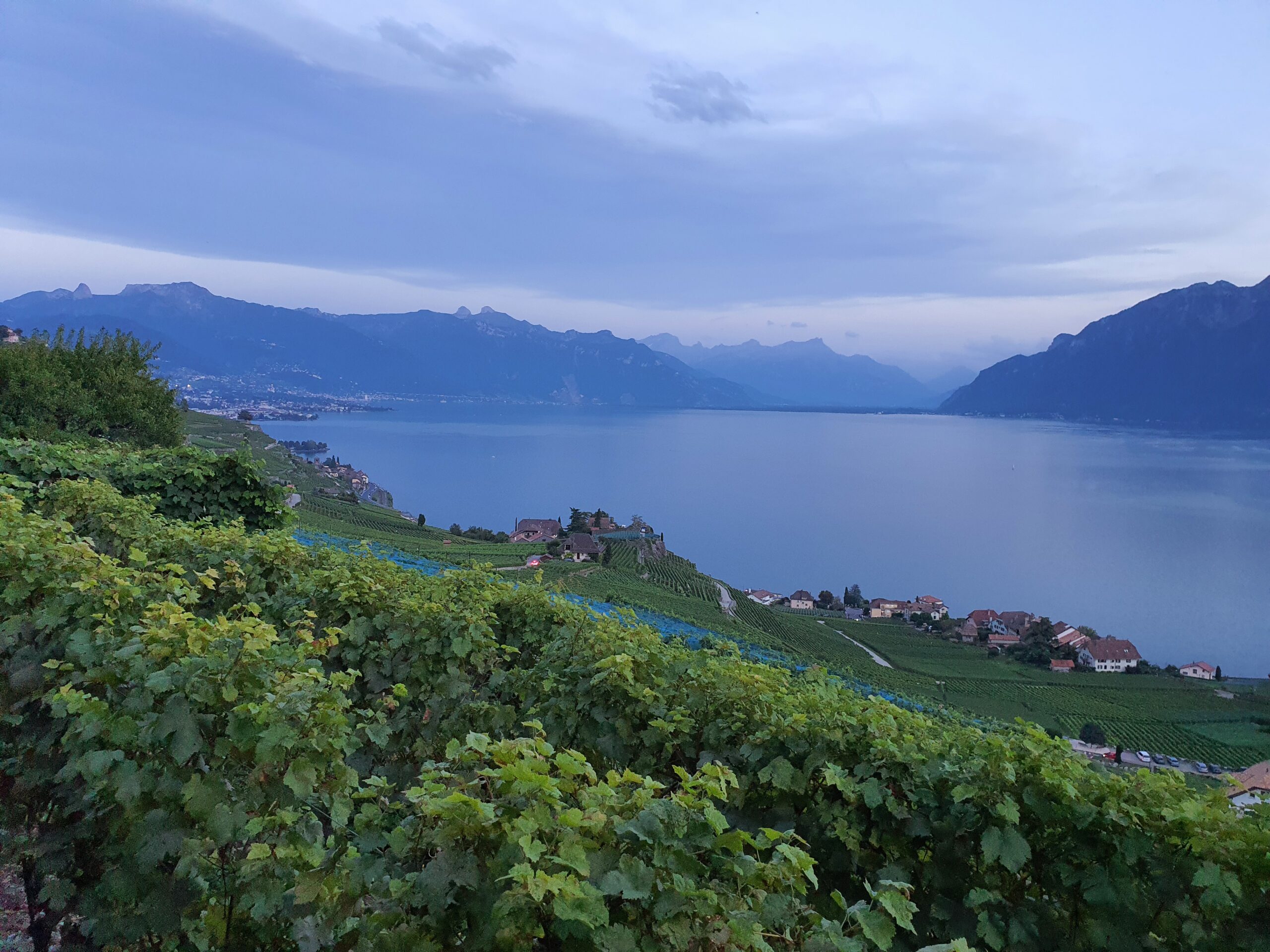 Sur les hauts de Chexbres