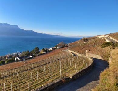 Les hauts de Corseaux